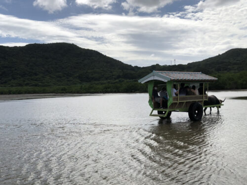 西表島の水牛車からの景色