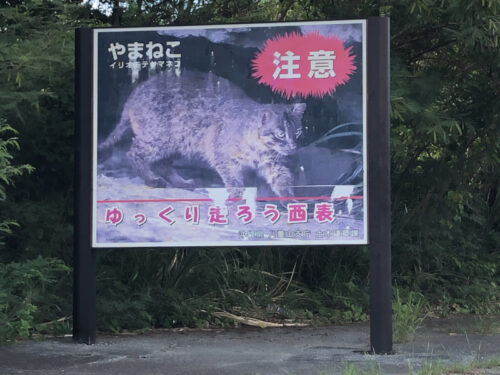 イリオモテヤマネコの道路標識