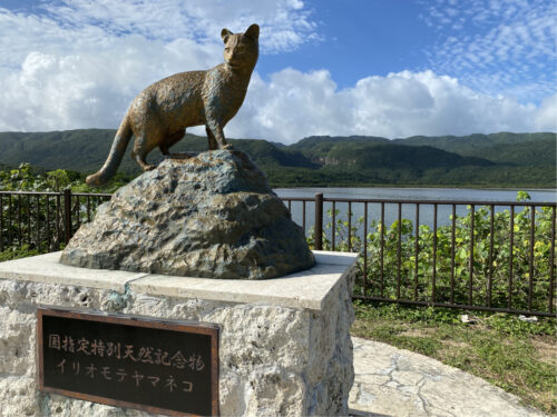 西表島のイリオモテヤマネコ像