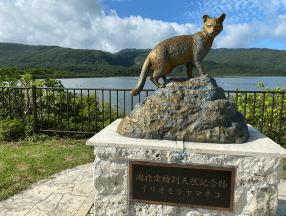 イリオモテヤマネコ像