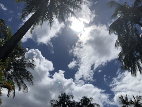 ケアンズのホテルのプールから空を見上げた景色