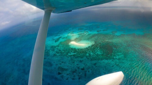 セスナで空から眺めたグレートバリアリーフのサンゴ礁：ケアンズ