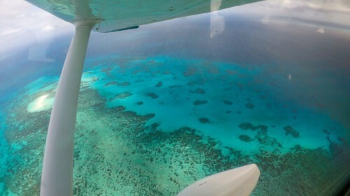 ケアンズ旅行にてセスナで空から見たグレートバリアリーフのサンゴ礁