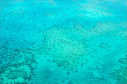 セスナに乗って空から見下ろしたグレートバリアリーフのサンゴ礁