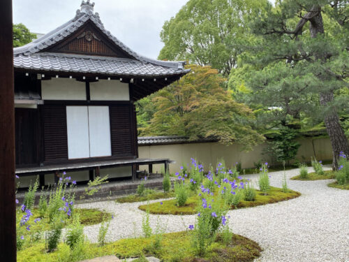 蘆山寺の源氏の庭