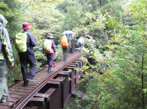 縄文杉トレッキングのトロッコ道で策の無い橋を渡る人たち