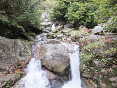 屋久島の縄文杉トレッキング最後の休憩所にある小川