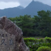 屋久島の旅行記