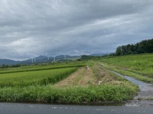 青森市から大間崎へドライブ中の田園風景