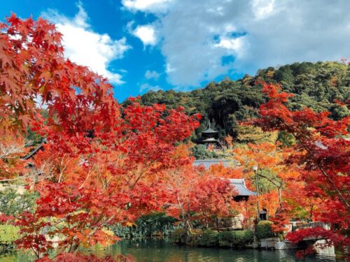 京都の紅葉の絶景