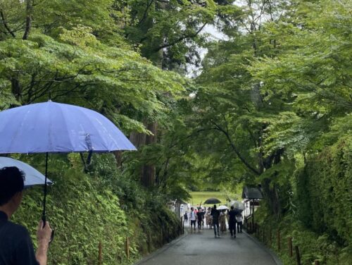 雨の中の中尊寺金色堂の上り坂