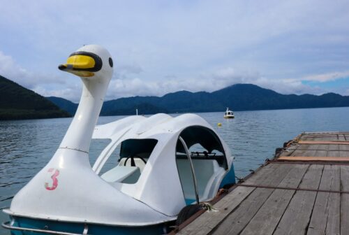 田沢湖の白鳥ボート