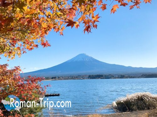 河口湖の富士山と紅葉の絶景