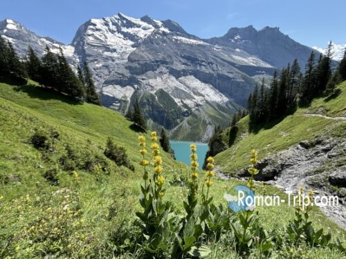 スイスをひとり旅しているときに出会ったアルプスの絶景。アルプスの山々と青い湖、そして緑の野原の写真