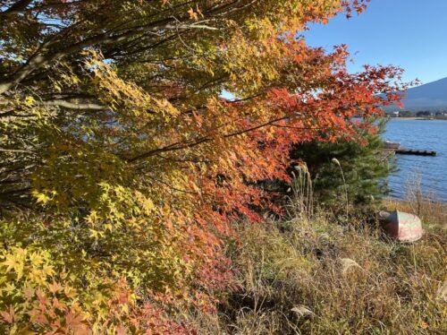 河口湖と虹色に輝く紅葉