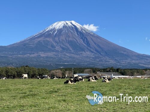 富士山と牧場の景色