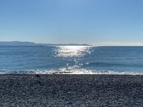 三保の松原から見た朝日が差し込む海の景色