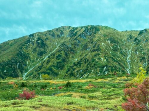 美しい弥陀ヶ原の山