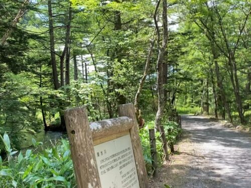 上高地のハイキングコースでキャンプ場近くの道