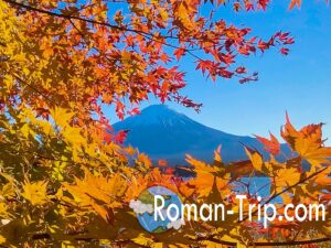 富士山と虹色グラデーションのかかった紅葉の絶景