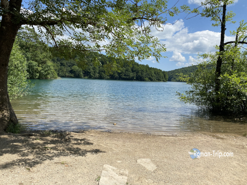 船着き場近くのコジャク湖畔。エメラルドグリーンの湖面と木々が織りなす、息をのむような美しい景色。/ A breathtaking lakeshore view of Kozjak Lake near the pier, where emerald-green waters meet the lush surrounding forest.