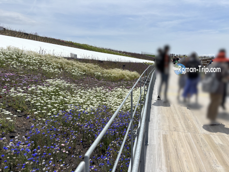 大阪・関西万博2025の大屋根リングの屋上に広がるお花畑。先進的な建築の上に咲き誇る花々が、自然との共生を感じさせる絶景。 / A flower garden atop the Grand Roof Ring at Expo 2025 Osaka — a stunning fusion of futuristic architecture and blooming nature, symbolizing harmony with the environment.