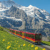 スイス・グリンデルバルドの景色。ユングフラウを背景に赤い登山列車が映える旅の一幕。/ Scenic view from Grindelwald, Switzerland, featuring the Jungfrau mountain and a striking red mountain train — a memorable highlight of the trip.