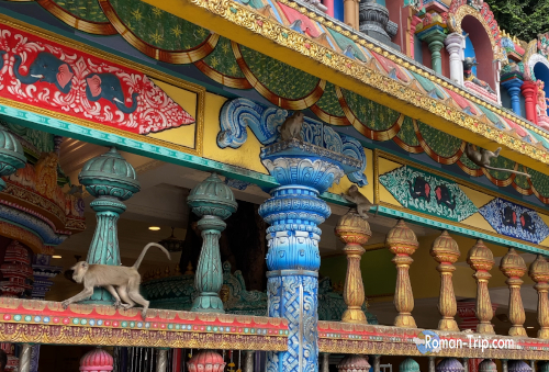 バトゥ洞窟にいる猿。カラフルな寺院を自由自在によじ登る姿がユニーク。/ A monkey at Batu Caves, freely climbing the colorful temple structures.