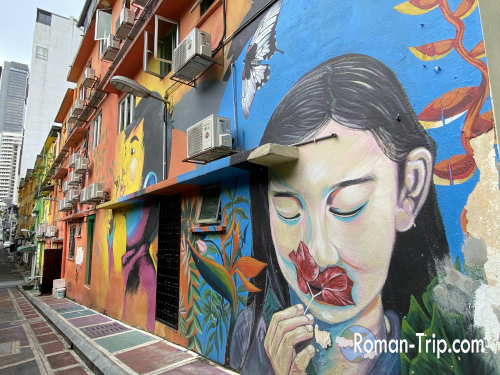 クアラルンプールのストリートアート。壁一面に描かれた女性の顔が印象的。/ Street art in Kuala Lumpur featuring a striking mural of a woman's face.