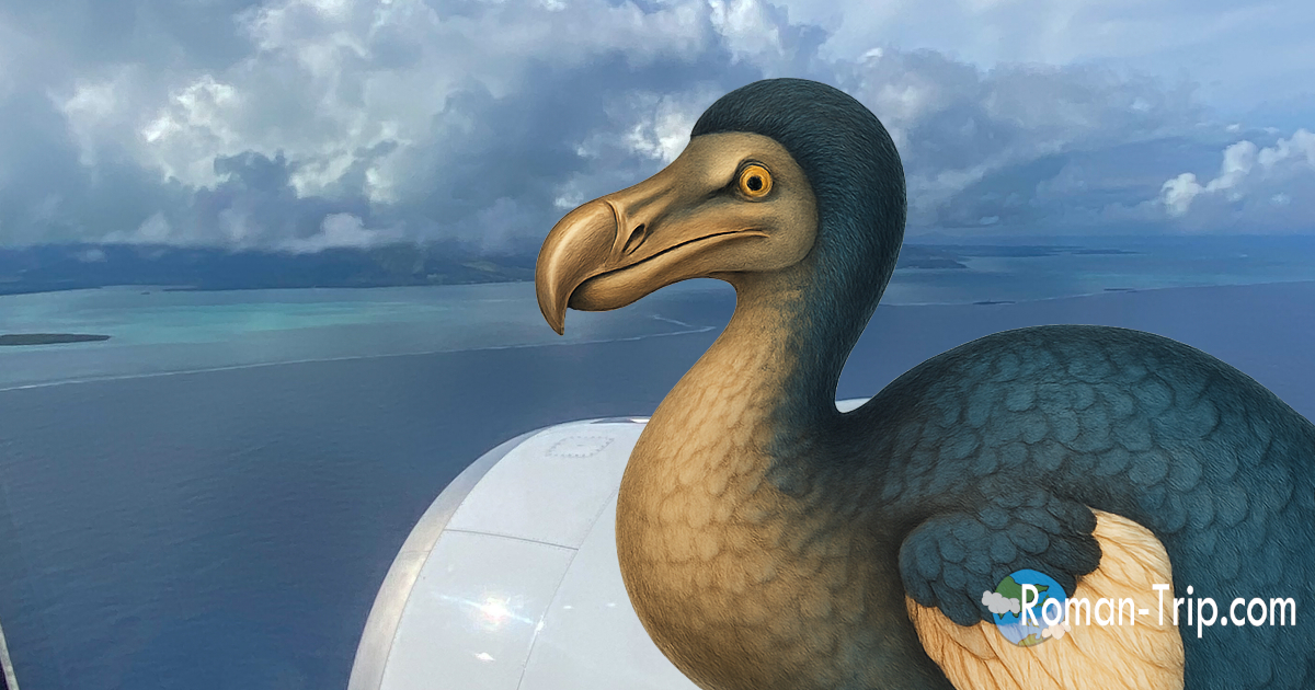 飛行機の窓から見えたモーリシャスの大地と青い海。ドードーのイラストを添えて、到着の高揚感を表現。/ A view of Mauritius’s land and turquoise sea from the airplane window, accented with a dodo illustration to capture the excitement of arrival.
