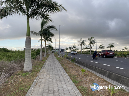 モーリシャス空港からホテルまでの道を歩く途中、ヤシの木と一本道が広がる光景。/ A view of palm trees and a straight road while walking from Mauritius Airport to the hotel.