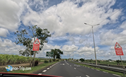 モーリシャス東部へ向かってレンタカーで走る道。両側にサトウキビ畑が広がる幹線道路のドライブ風景。/ Driving toward eastern Mauritius by rental car, along a main road lined with vast sugarcane fields.