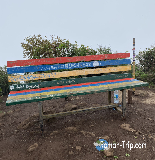 ブラックリバー・ピーク(Bench 828)の頂上に設置されたベンチ。モーリシャス国旗のカラーで塗られており、到達の証として印象に残る存在。/ A bench at the summit of Black River Peak (Bench 828), painted in the colors of the Mauritian flag, marking a symbolic hiking milestone.