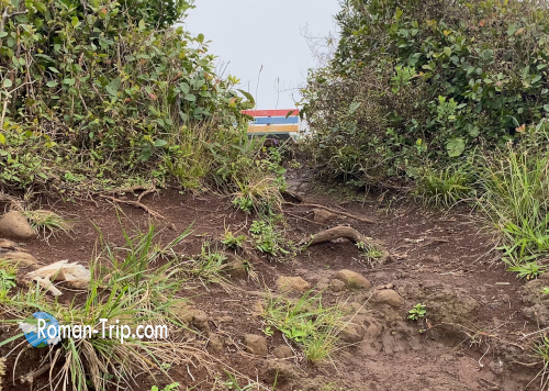 ブラックリバー・ピーク(Bench 828)の頂上間近。ロープを伝って急な登りを登り切った直後の一枚で、最後の踏ん張りを終えた安堵感が残る場所。/ Near the summit of Black River Peak (Bench 828), just after climbing a steep section using a rope — the moment right after conquering the final tough ascent.