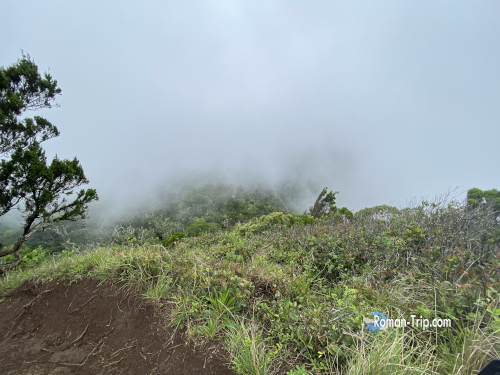 ブラックリバー・ピーク(Bench 828)の頂上付近。雲に包まれて視界がほとんどなく、景色が何も見えない幻想的な状態。/ Near the summit of Black River Peak (Bench 828), completely shrouded in clouds with almost no visibility, creating a whiteout-like atmosphere.