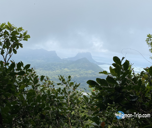 ブラックリバー・ピーク(Bench 828)へ向かう登山道から望むル・モーン山。深い森の合間に姿を現す、モーリシャスを象徴する山のシルエット。/ View of Le Morne Mountain from the hiking trail to Black River Peak (Bench 828), a symbolic Mauritian landscape emerging beyond the forest.