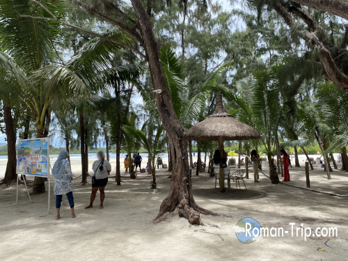 モーリシャスのイル・オ・セルフ島内の風景。木陰に並ぶパラソル付きの休憩スペースと、ビーチへ続く砂地が南国ののんびりした空気を漂わせる。/ Inside Île aux Cerfs, Mauritius — a shady coastal grove with thatched parasols and sandy paths leading toward the beach, capturing the island’s relaxed tropical vibe.