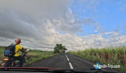 モーリシャス南東部を目指し、レンタカーでサトウキビ畑の中を走る道中の風景。観光地へ向かう途中に広がる日常の景色。/ Driving through sugarcane fields by rental car on the way to southeastern Mauritius, a glimpse of everyday scenery along the journey