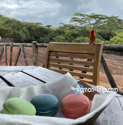 モーリシャスの七色の大地で七色のマカロンを食べていると、赤い小鳥が近づいてきた。どうやらマカロンが気になる様子。/ A small red bird visiting while enjoying rainbow macarons at the Seven Colored Earth in Mauritius, seemingly curious about the sweets