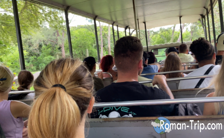 サファリバスの車内から撮影した一枚。オープンな車両から広がる景色と、野生動物エリアへ進んでいく高揚感が伝わる瞬間。 / A photo taken from inside the safari bus, capturing the open-air view and the excitement of heading into the wildlife area.