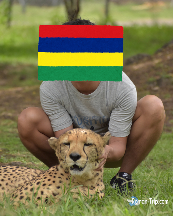 モーリシャスのカゼラ・ネイチャーパークで、チーターの頬にそっと触れている瞬間。思っていたより柔らかく、緊張と不思議な安心感が同時にあった。/ Gently touching a cheetah’s cheek at Casela Nature Parks in Mauritius, experiencing an unexpectedly soft texture during a close wildlife encounter