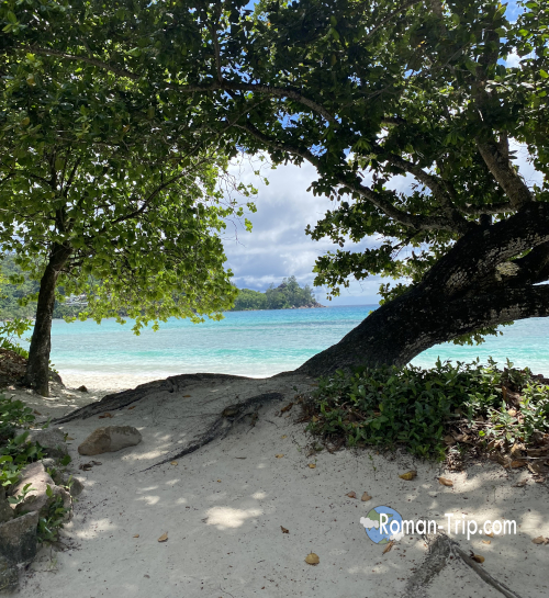 セーシェル・マヘ島のBaie Lazare Public Beach。木陰に切り取られたエメラルドブルーの海と白砂のビーチが広がる静かな風景。 / A tranquil view of Baie Lazare Public Beach on Mahé Island in Seychelles, framed by tree shade with emerald blue waters and soft white sand.
