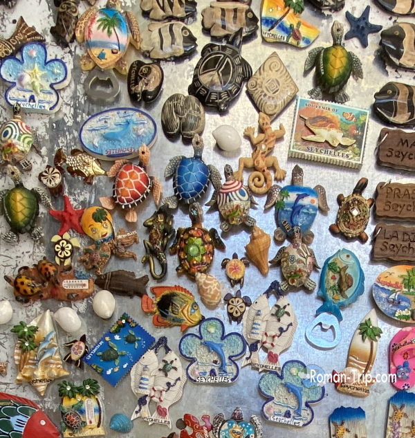 セーシェル・ラディーグ島のお土産屋に並んでいたご当地マグネット。ウミガメ、トカゲ、イルカなど島の自然をモチーフにしたデザイン。 / Souvenir magnets displayed in a shop on La Digue Island in Seychelles, featuring designs of sea turtles, lizards, dolphins, and other island wildlife.