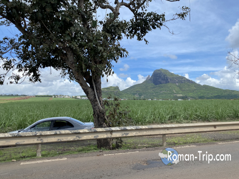 モーリシャスをドライブ中に撮影した一枚。サトウキビ畑の広がる道の向こうに、島らしい独特の山のシルエットがそびえる風景。 / A roadside scene captured while driving across Mauritius, with vast sugarcane fields and a distinctive mountain rising in the distance.